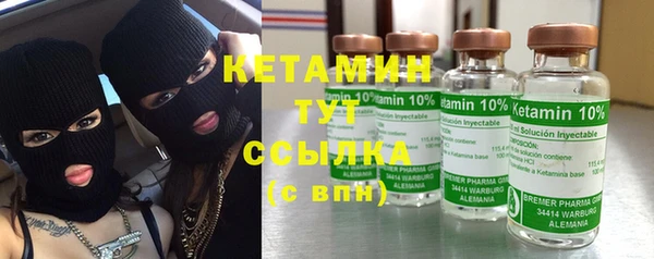 прущие грибы Баксан