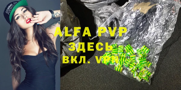 прущие грибы Баксан