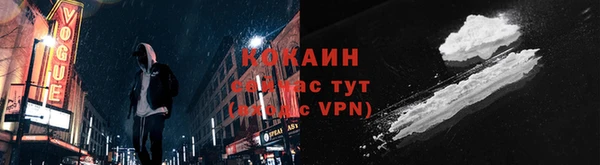 прущие грибы Баксан