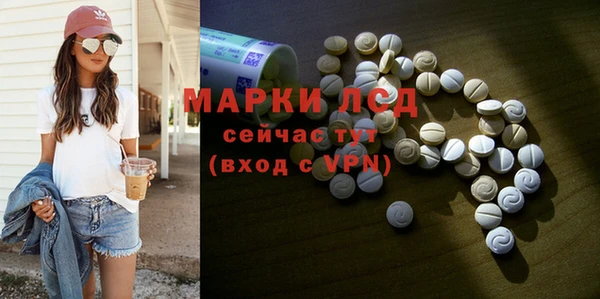 прущие грибы Баксан