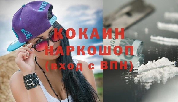 прущие грибы Баксан