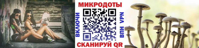 Псилоцибиновые грибы Psilocybe  МЕГА ссылка  Городовиковск 